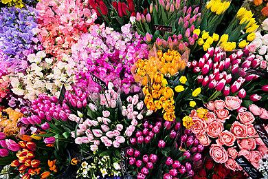 T2：从游戏提供的内容量看 当前游戏实在太便宜了