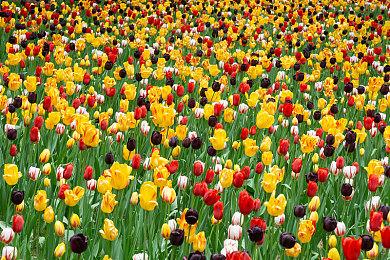 任天堂独立游戏节日活动day3 介绍4款游戏
